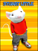Stuart little